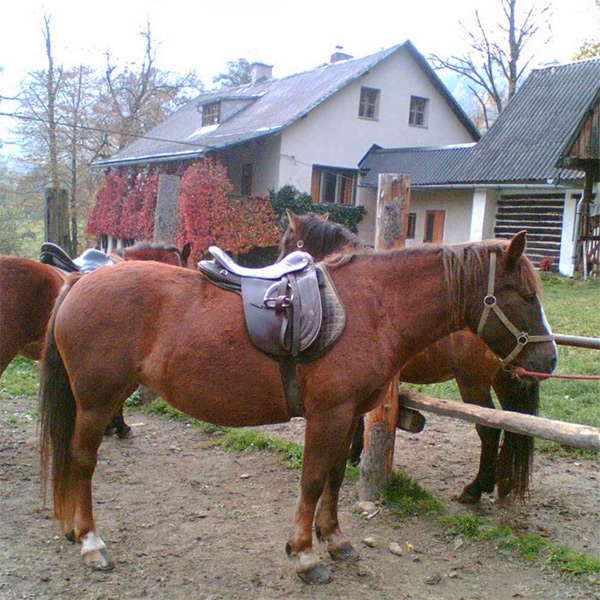 Ranch M Vernířovice