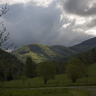 Okolí a příroda 